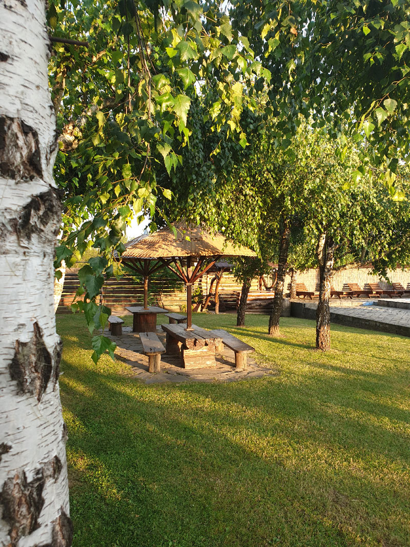 imagine-casa-tomsa-2